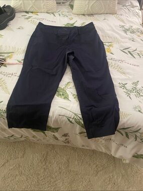 Ann Taylor Factory Navy Cropped Pants